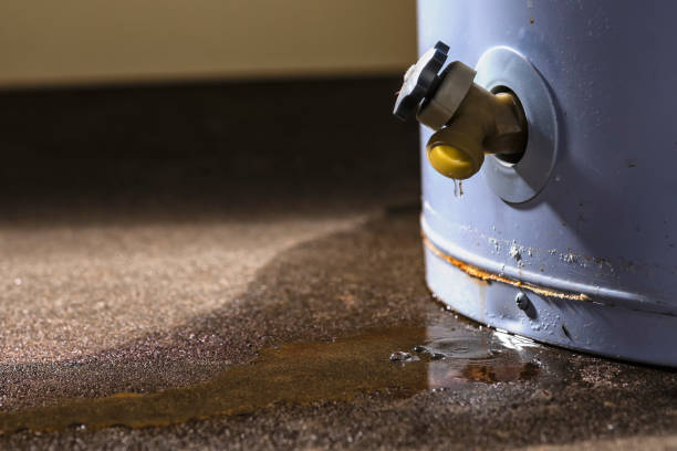 Best Water damage restoration cost  in Mammoth Lakes, CA