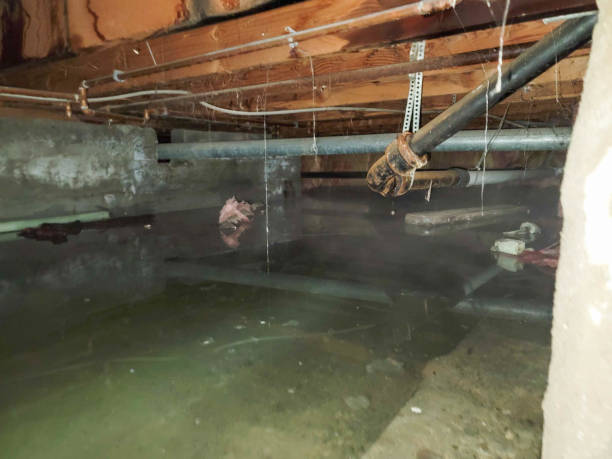 Best Water damage restoration specialists  in Mammoth Lakes, CA