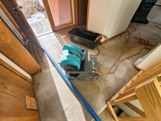 Best Water damage restoration near me  in Mammoth Lakes, CA