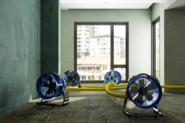 Best Water damage contractors near me  in Mammoth Lakes, CA